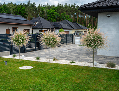 Pre Construction Image Sample